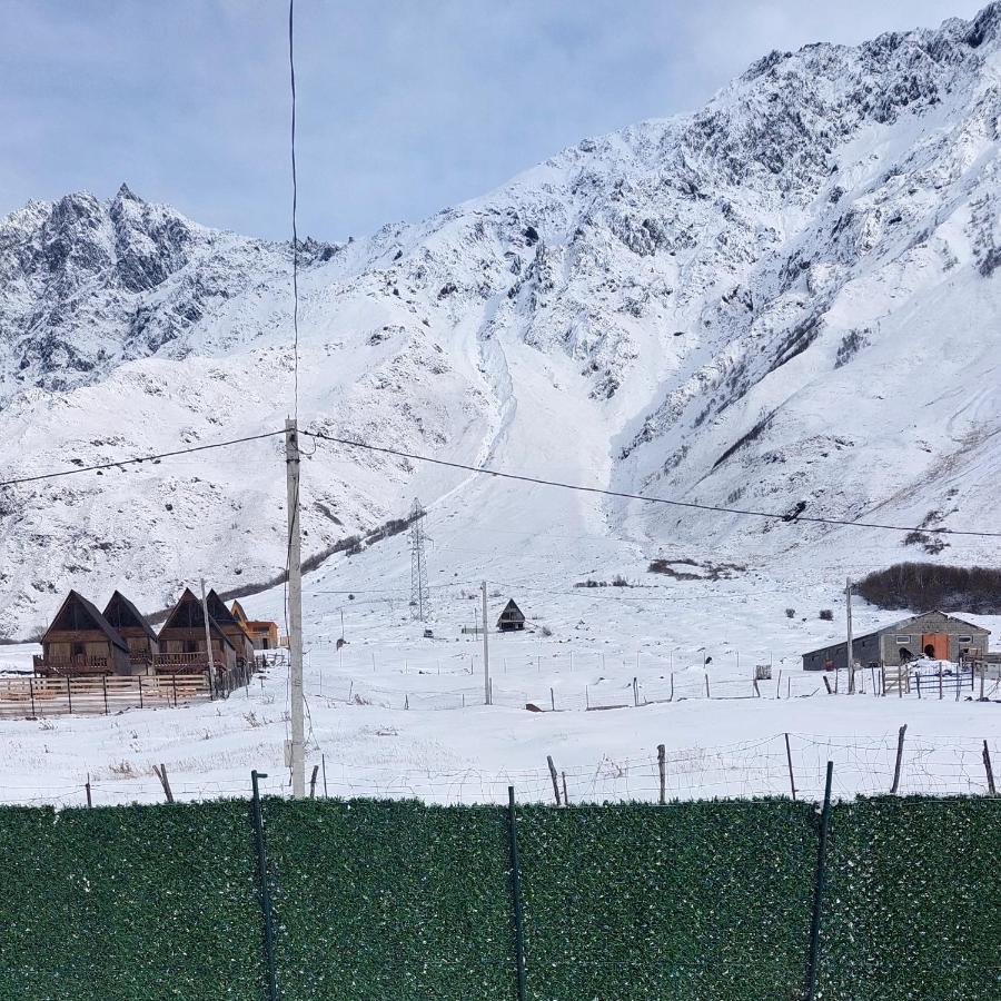 Mood Villa Kazbegi Zewnętrze zdjęcie